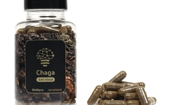 Chaga-extract