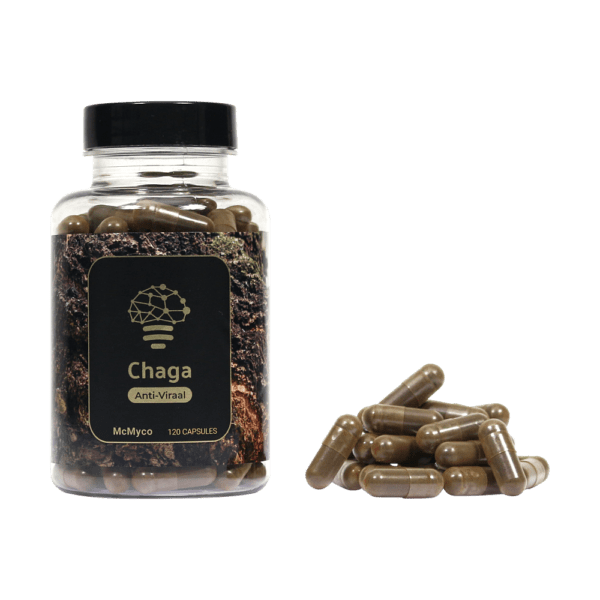 Chaga-extract
