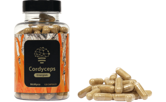 Cordyceps-extract