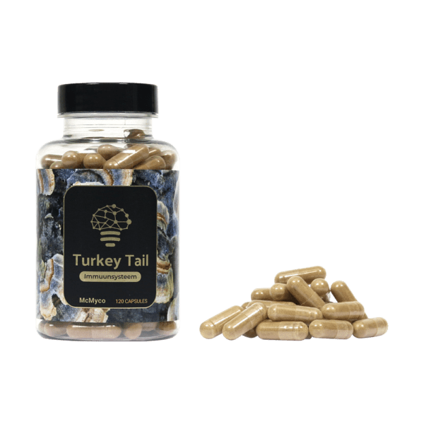 Turkey-Tail-extract
