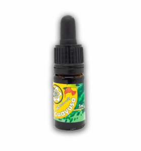 Natuurlijke energie Guayusa